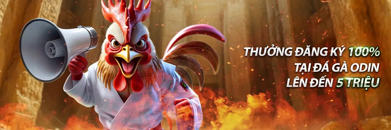 Khuyến mãi đá gà và nổ hũ uy tín